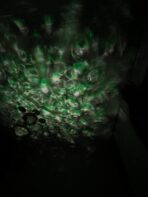 پروژکتور کهکشانی/چراغ خواب مدل starry projector light - Image 5